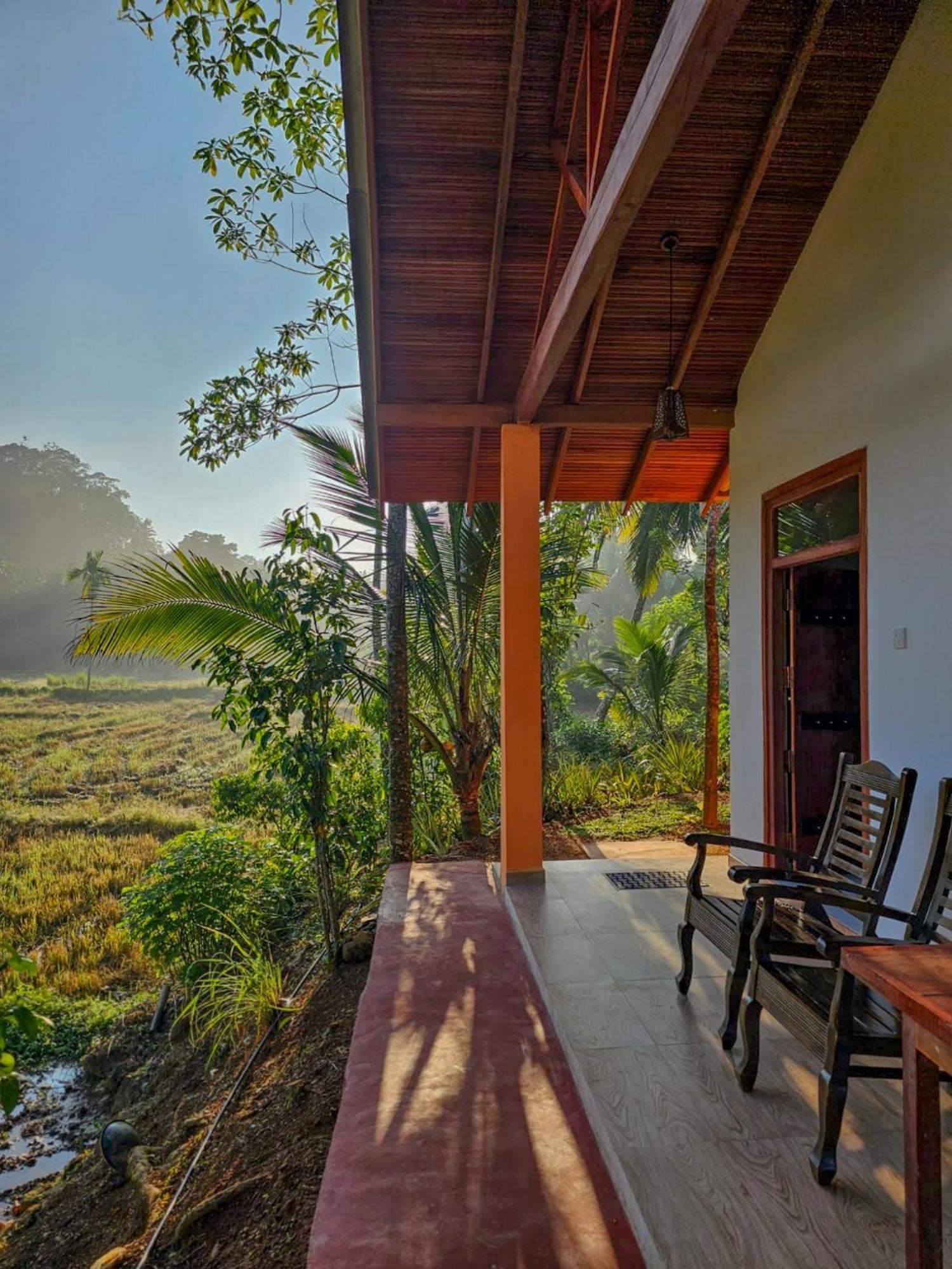 Forest & Fields Sinharaja Deniyaya Exterior photo